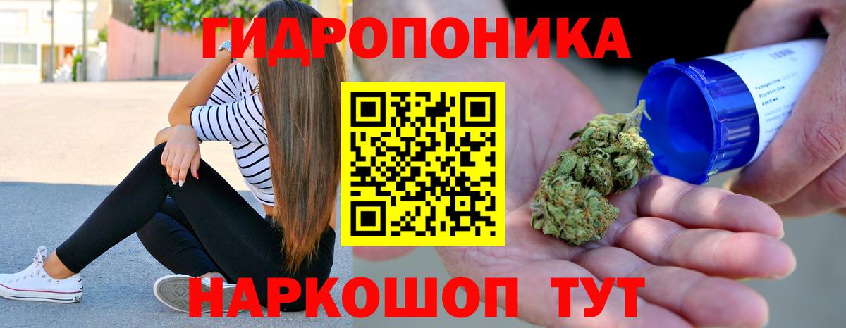 Конопля индика Ипатово